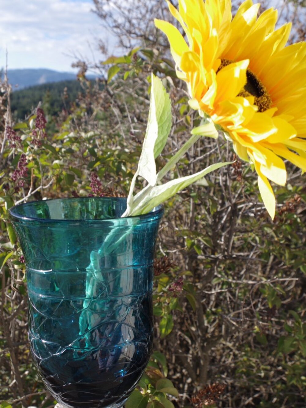 Hand Blown Wrapped Threaded Teal Blue Textured Wide Mouth Vase